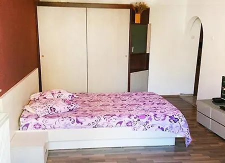 Cozy Floreasca 公寓