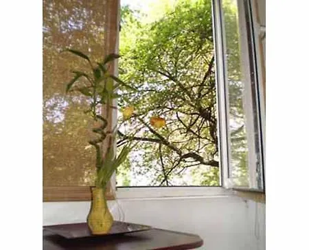 Cozy Floreasca 布加勒斯特